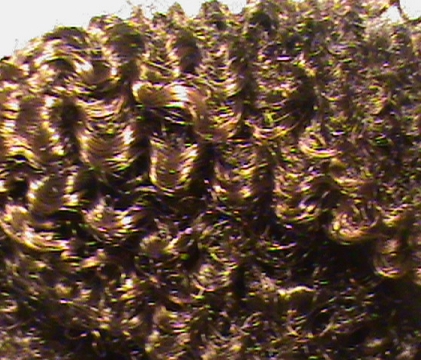 Mambo Hair Off Black With Dark Auburn (FS 1B - 33)