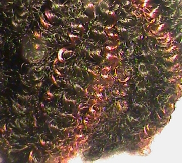 Mambo Hair Off Black With Reddish Burgundy Mix (FS 1B - 350)
