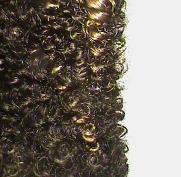 Mambo Hair Off Black-With Honey Blonde (FS 1B - 27)